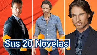 20 Telenovelas de Sebastián Rulli