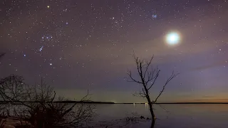 Весенняя ночь Таймлапс со Звёздным небом Spring night Timelapse with a Starry sky