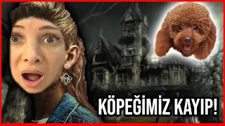 KÖPEĞİMİZ KAYIP PERİLİ EVE Mİ KAÇTI! **HARMONY KAYIP** Dobişko Tv