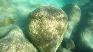 Swimming in Lake Tahoe