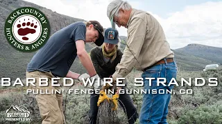 Barbed Wire Strands - Pullin' Fence in Gunnison Colorado