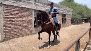 🔴FUIMOS HA GUADALAJARA JALISCO A CALAR UN CABALLITO🔴✅🔥💯 LOS ARRIEROS DE SINALOA💯