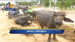 4 PM | Ghantaravam | News Headlines | 18th July 2022 | ETV Andhra Pradesh