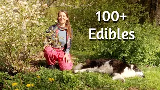 Blossoming Permaculture FOOD FOREST With OVER 100 Edible Plants & Trees - UK