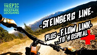 Steinberg Line Leogang | Flow Link 😱Crash to Hospital | Bikepark Leogang | 4K | GoPro | POV