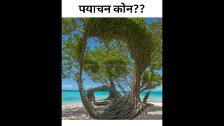 guess the picture। पयचान कोन?#shorts #mindeducation