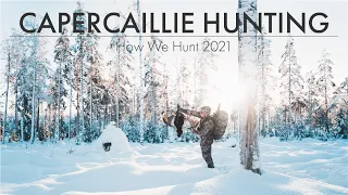 CAPERCAILLIE HUNTING (TOPPJAKT 2021) - HOW WE HUNT