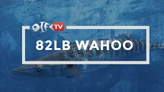 Epic Wahoo Fishing