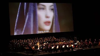 Lord of The Rings live orchestra - Arwens vision / Minas Tirith entrance Return of the King