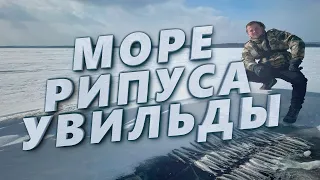 ПОЙМАЛ МОРЕ РИПУСА ЗА ДЕНЬ! Рыбалка на увильдах