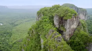 Película Colombia Magía Salvaje