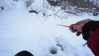 Рыбалка во время СВЕРХ ДАВЛЕНИЯ! Безмотылка со льда зимой в 2022