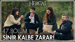 Zeynep ve Fırat'ın tatlı atışması! - Hercai 47. Bölüm