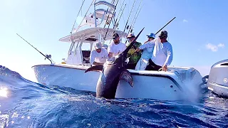 Near *QUARTER TON* Swordfish with Capt. Nick Stanczyk! Catch Clean and Cook