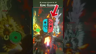 How To Easily Defeat a King Gleeok | Zelda TOTK