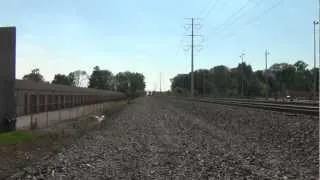 Norfolk Southern Heritage Unit #8114 in Toledo, OH
