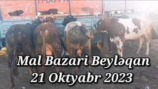 MAL BAZARİ BEYLƏQAN 21 OKTYABR 2023 YENİ VİDEO ÇƏKİLİŞ