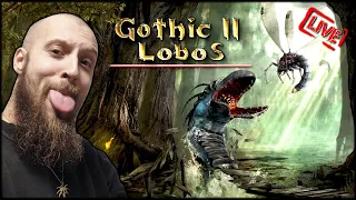 GOTHIC 2 - LOBOS 🏹 OBÓZ PRACY l PL DUBBING! #4 🔴 [NA ŻYWO]