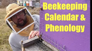 The Beekeeping Calendar and Phenology