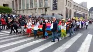 GAY PRIDE BXL 2013 - drums & flag