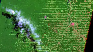 Deforestation in Rondonia, Brazil, 1975-2015