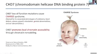 Perturb-tracing enables scalable high-content discovery of 3D genome regulators