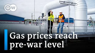 European natural gas prices drop back to pre-Ukraine war levels | DW News
