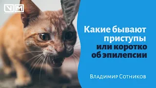 Какие бывают приступы или коротко об эпилепсии