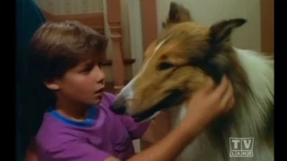 The New Lassie (Season 1 Eps.23)