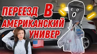 Мой переезд в универ.  Влог. Mash Mash