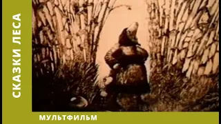 Сказки леса. Мультфильм. Лучшие анимационные фильмы (HD)