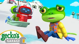 Gecko's Super Snowy Mountain Rescue! | Animals for Kids | Funny Cartoons | Learn about Animals