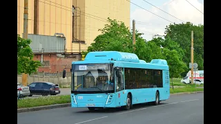 Автобус 150 "Госплемзавод «Лесное»   -  ул. Костюшко"