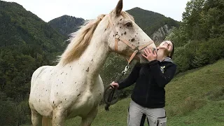 Schönbrunner Tierpfleger-Tagebuch #20: Conny auf der Noriker-Alm