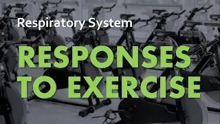 Responses to Exercise | Respiratory System 06 | Anatomy & Physiology