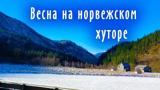 Первая весна / Дом в Норвегии / Норвежский хутор