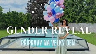 Přípravy na gender reveal a jde na mě hnízdění  | VLOG