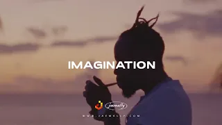 Burna Boy x Popcaan / Afro Dancehall Type Beat - "Imagination"