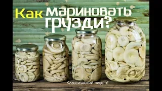 Как мариновать грузди в банках на зиму? простой рецепт! Как мариновать грузди хрустящие?