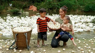 Harvesting duck eggs to sell at the market - Processing duck eggs to eat - With the children