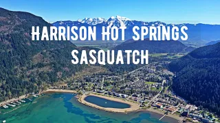 Short Sasquatch Documentary | Harrison Hot Springs | Thomas Steenburg