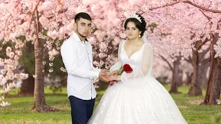 Цыганская свадьба Федора и Екатерина кафе Джин 29 апреля 2024