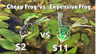 Cheap Frog vs. Expensive Frog Fishing (Explosive Topwater Blowups!)