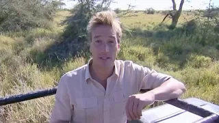 Animal Park - Tracking Wild Lions in Kenya | Safari Park Documentary | Natural History Channel