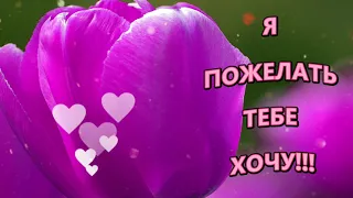 Я ПОЖЕЛАТЬ ТЕБЕ ХОЧУ...? МУЗЫКАЛЬНАЯ ОТКРЫТКА!!! МУЗЫКА СЕРГЕЙ ЧЕКАЛИН !!!