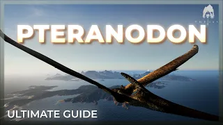 PTERANODON - Ultimate Guide - The Isle Evrima