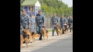 Виктор Петлюра и Анна Воробей (Голуби)