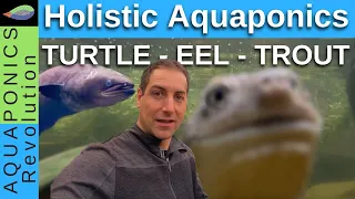 Creating an Aquaponic Oasis: Student Holistic Aquaponics Success Story!
