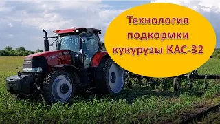 Технология подкормки кукурузы КАС 32.