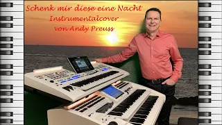 Schenk mir diese eine Nacht ❤️ Andy Preuss an der Wersi Orgel - Instrumental Cover